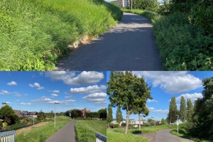 PvdA Nissewaard wil aanpak fietspad Schenkeldijk