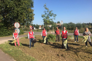 PvdA Nissewaard raapt zwerfafval in Zuidland