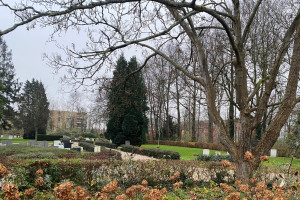 PvdA pleit voor monumentenstatus begraafplaats Vredehof