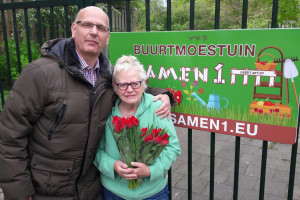 PvdA Nissewaard deelt rode tulpen uit