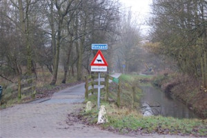 Behoud bomen Hartelpark