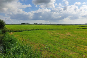 PvdA vraagt naar stand van zaken waterstoffabriek